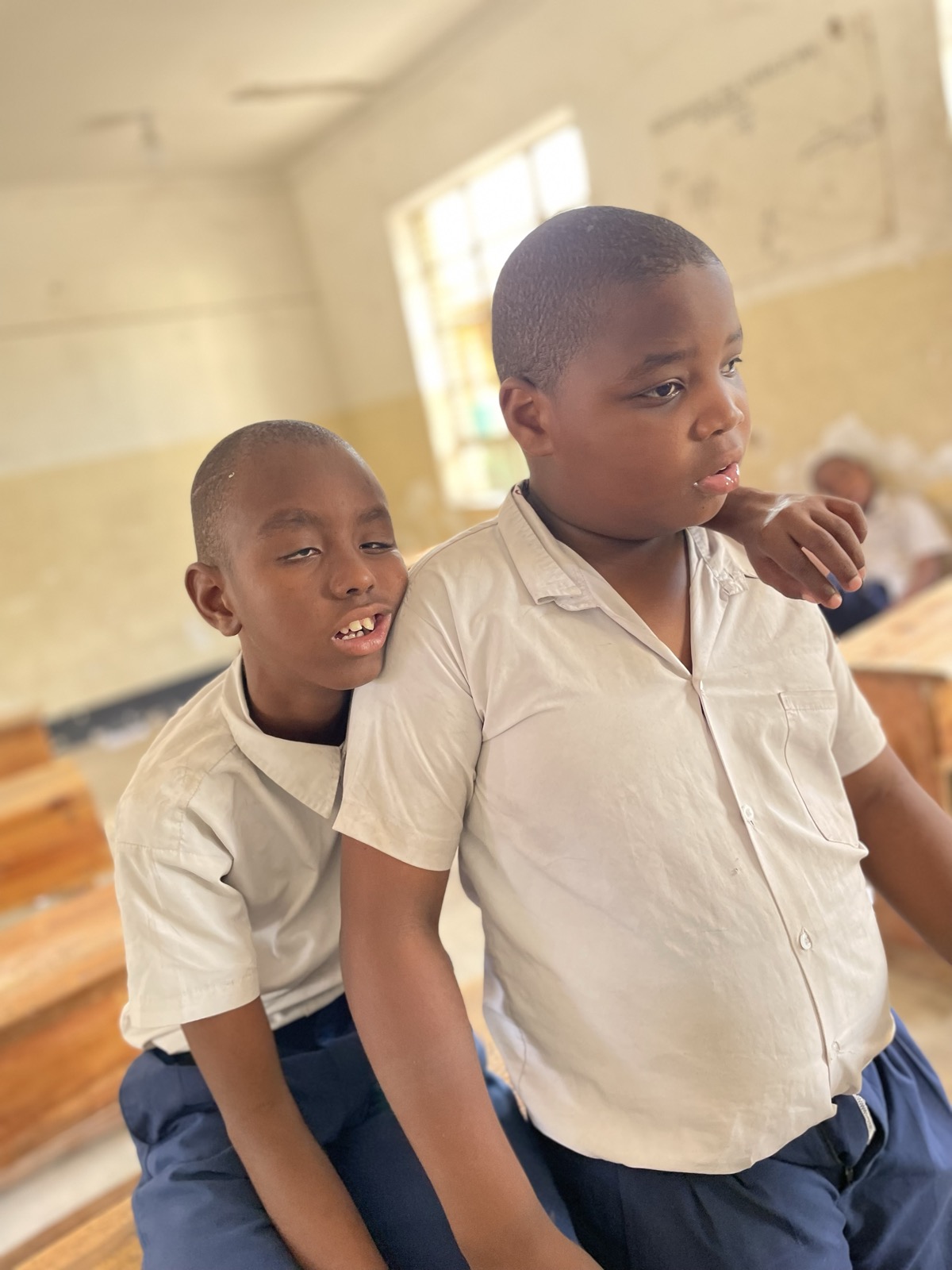 Inclusion in Play and Learning